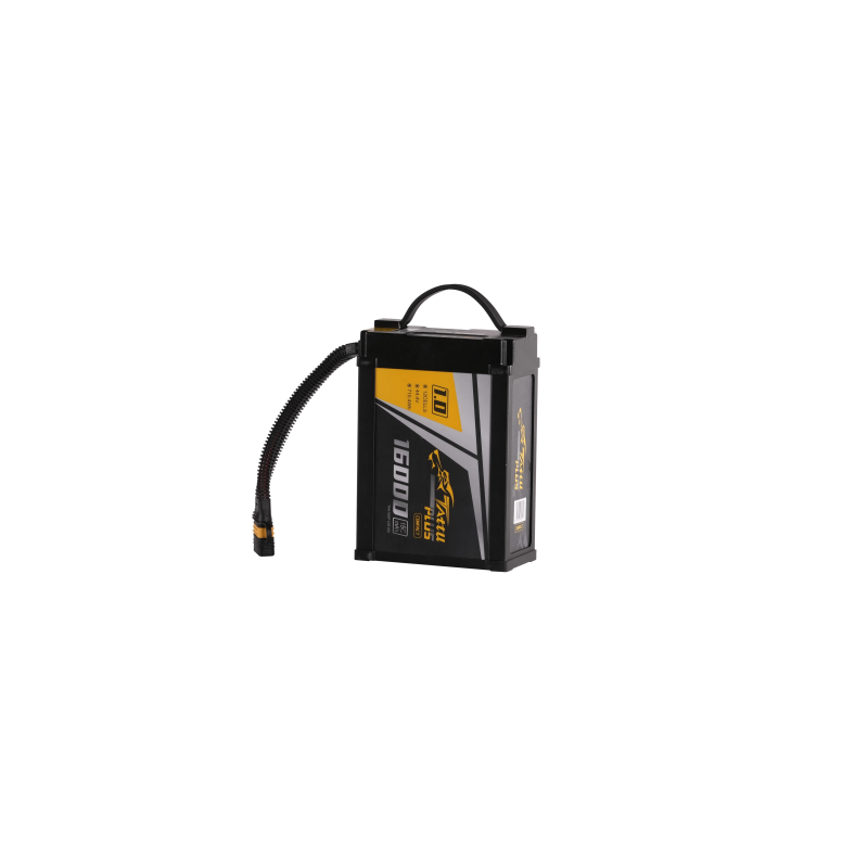 Smart Batterie 16000 C10